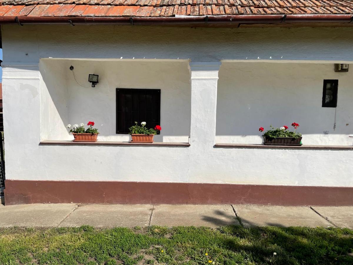 Zsuzsa Apartman Apartment Poroszló Екстериор снимка